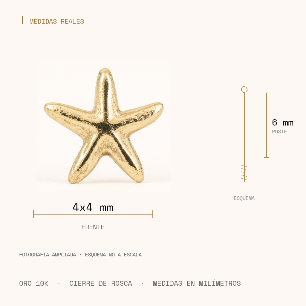 Broquel Estrella de Mar Oro 10K: frente 4x4 mm, poste de 6 mm y cierre de rosca. Fotografía ampliada; esquema no a escala.
