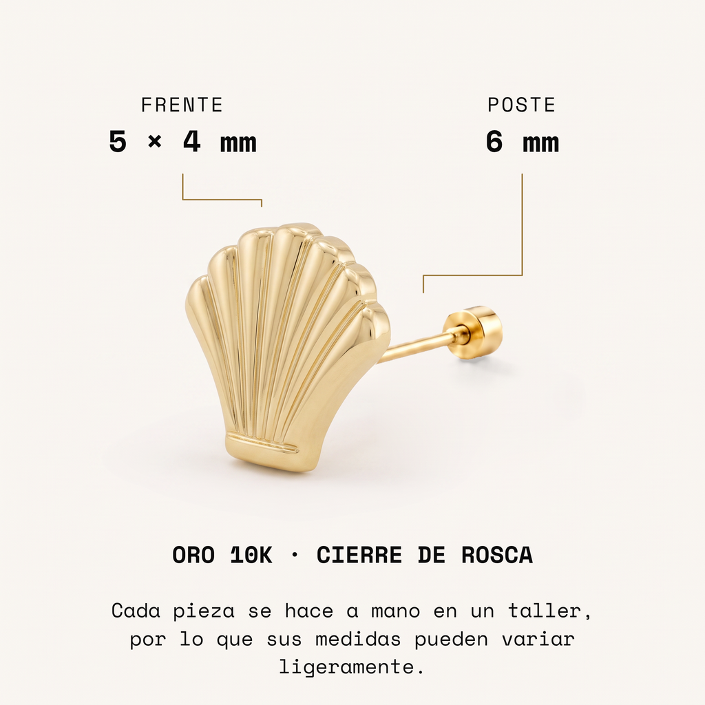 Broquel Conchita Oro 10K: frente 5 × 4 mm y poste de 6 mm. Fotografía ampliada.