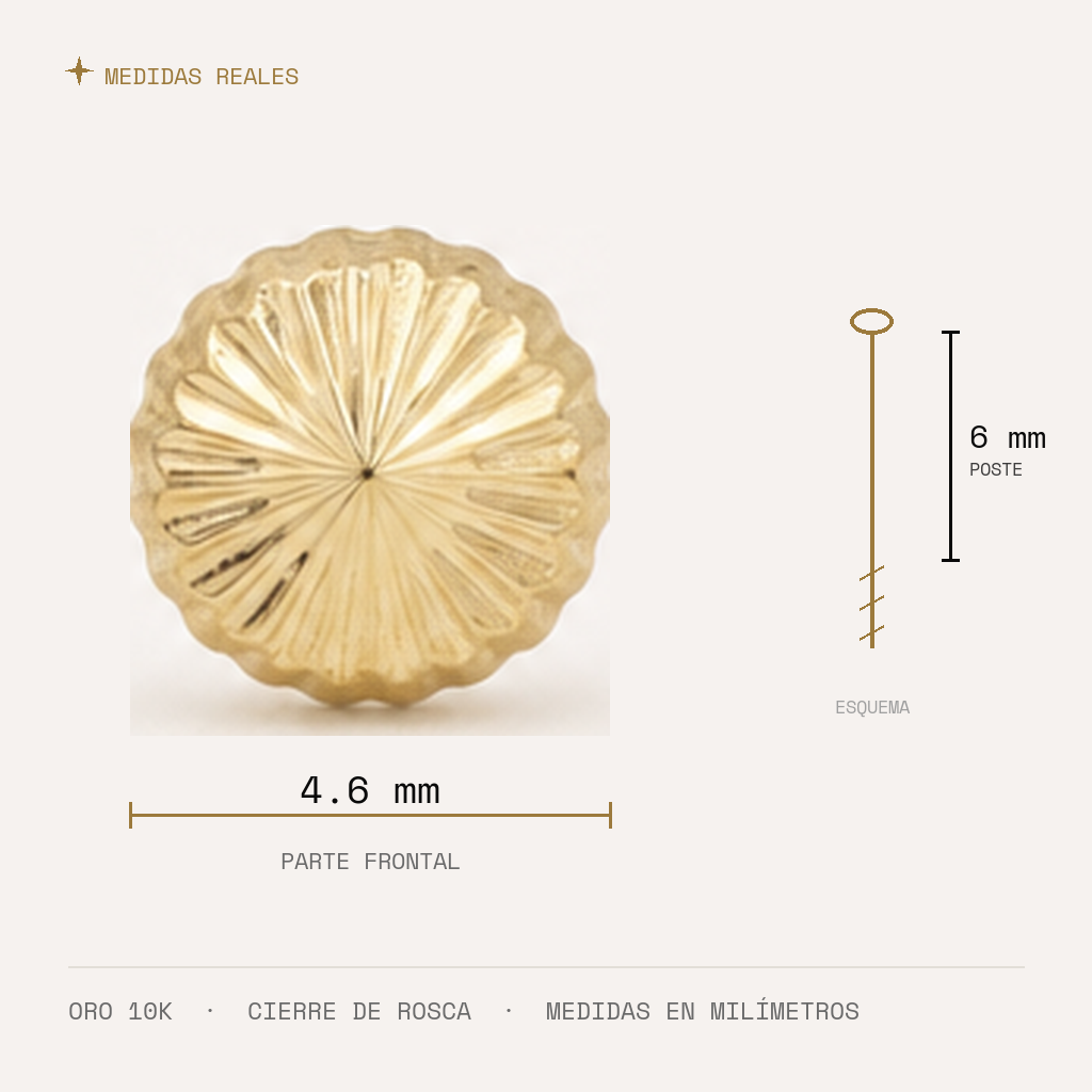 Broquel Hongo 4.6 mm Oro 10K — medidas reales