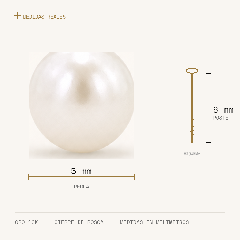 Broquel Perla 5 mm Oro 10K — medidas reales