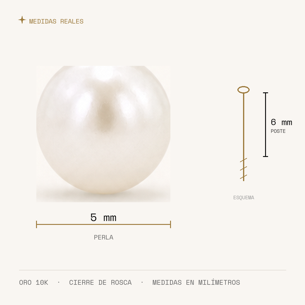 Broquel Perla 5 mm Oro 10K — medidas reales