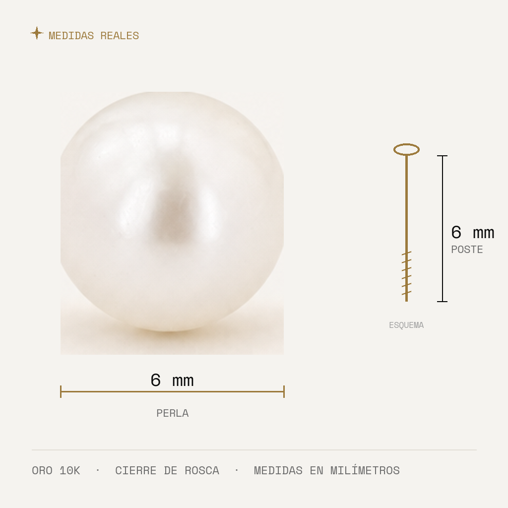 Broquel Perla 6 mm Oro 10K — medidas reales