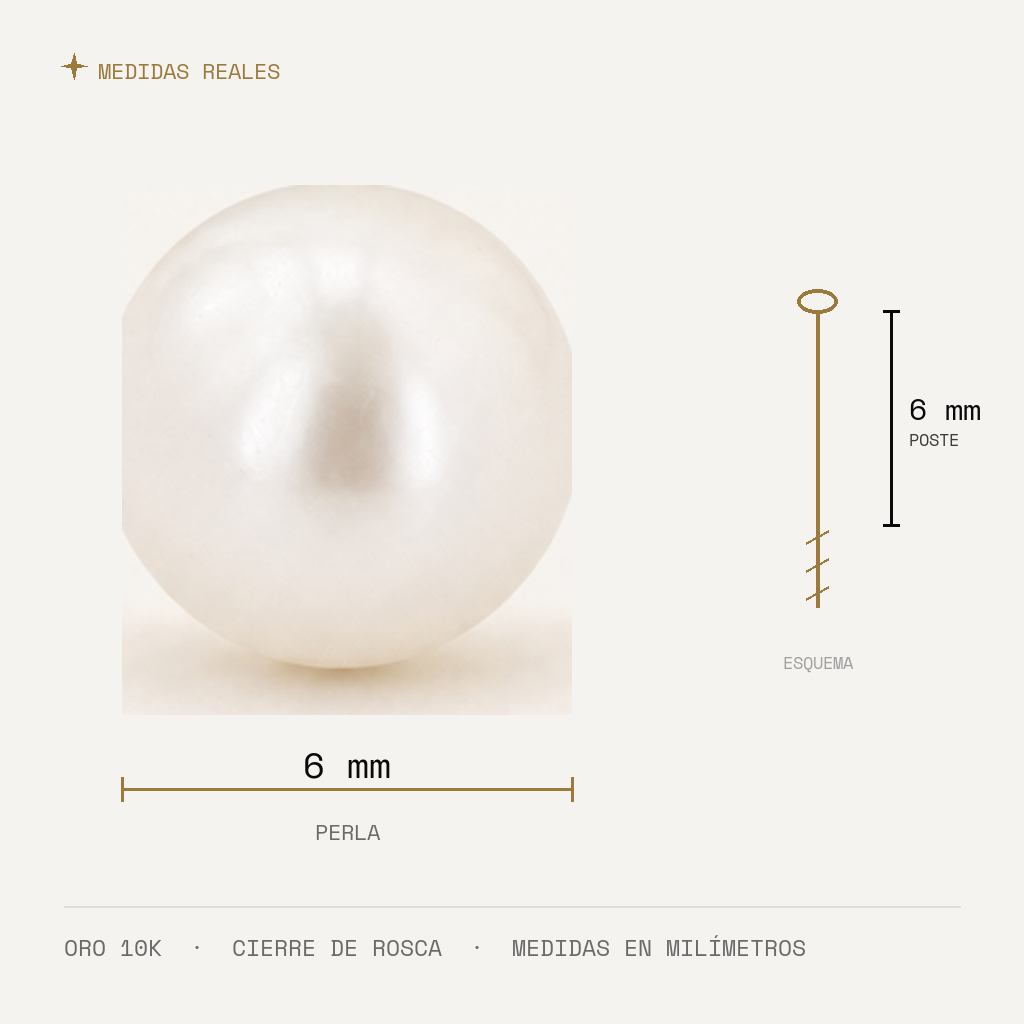 Broquel Perla 6 mm Oro 10K — medidas reales